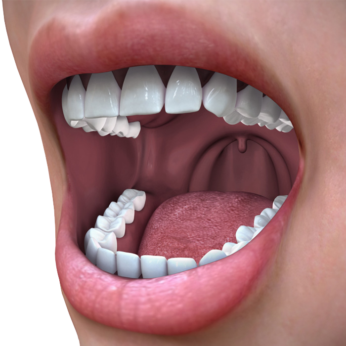 Oral Systemic Health