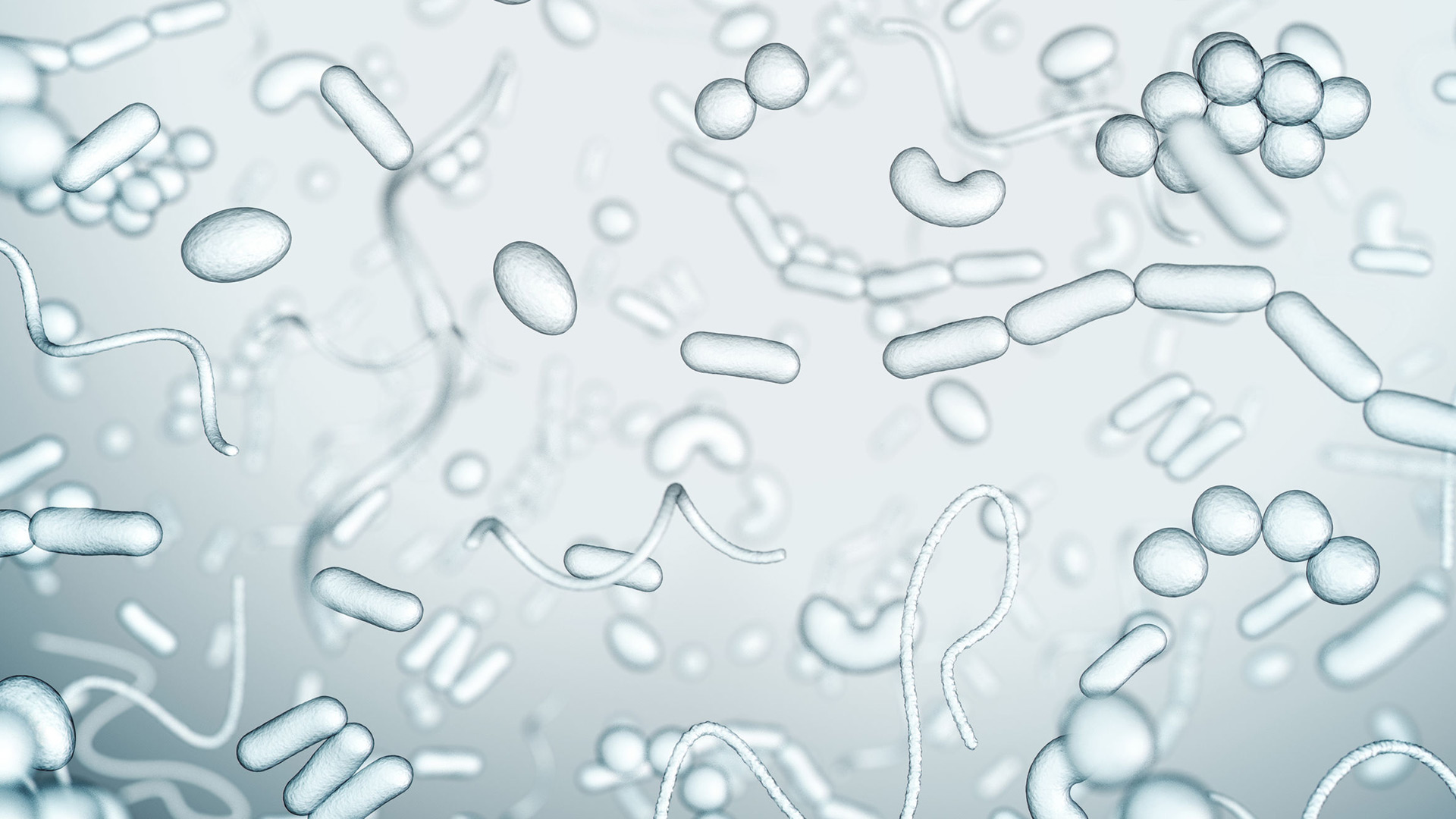 The Bacteria Responsible for Dental Caries: Genetics versus Environment